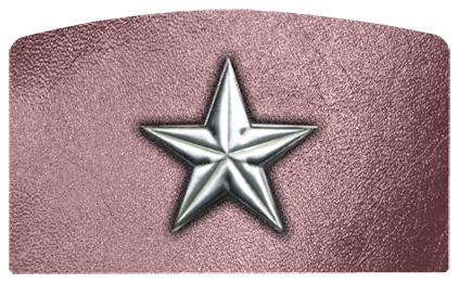 DACRO-430-SL-OR Star Silver-Orchid